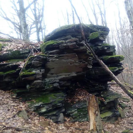 Fantagiro Appartamento *